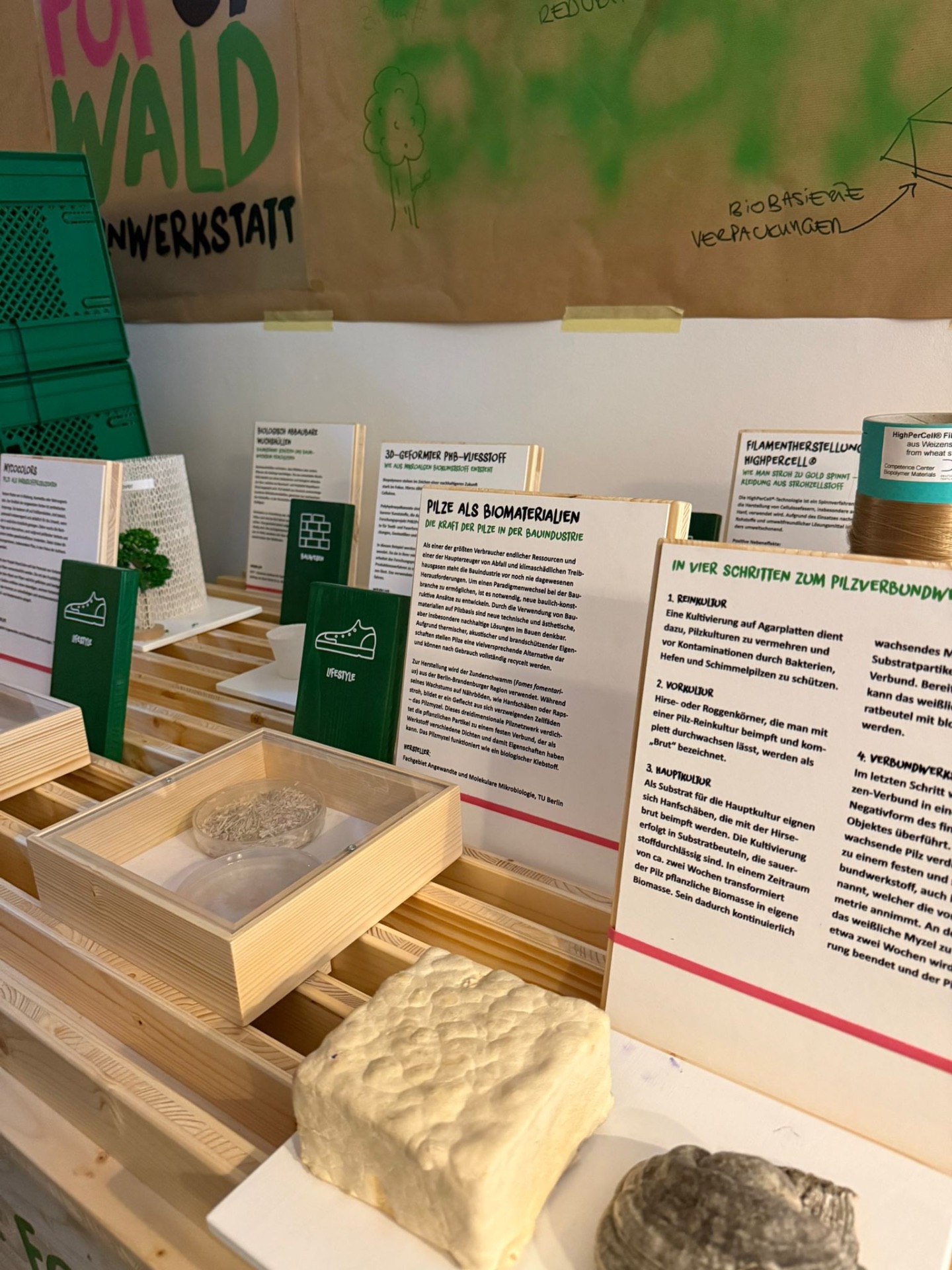 PHOTO 2025 12 11 18 00 24 2