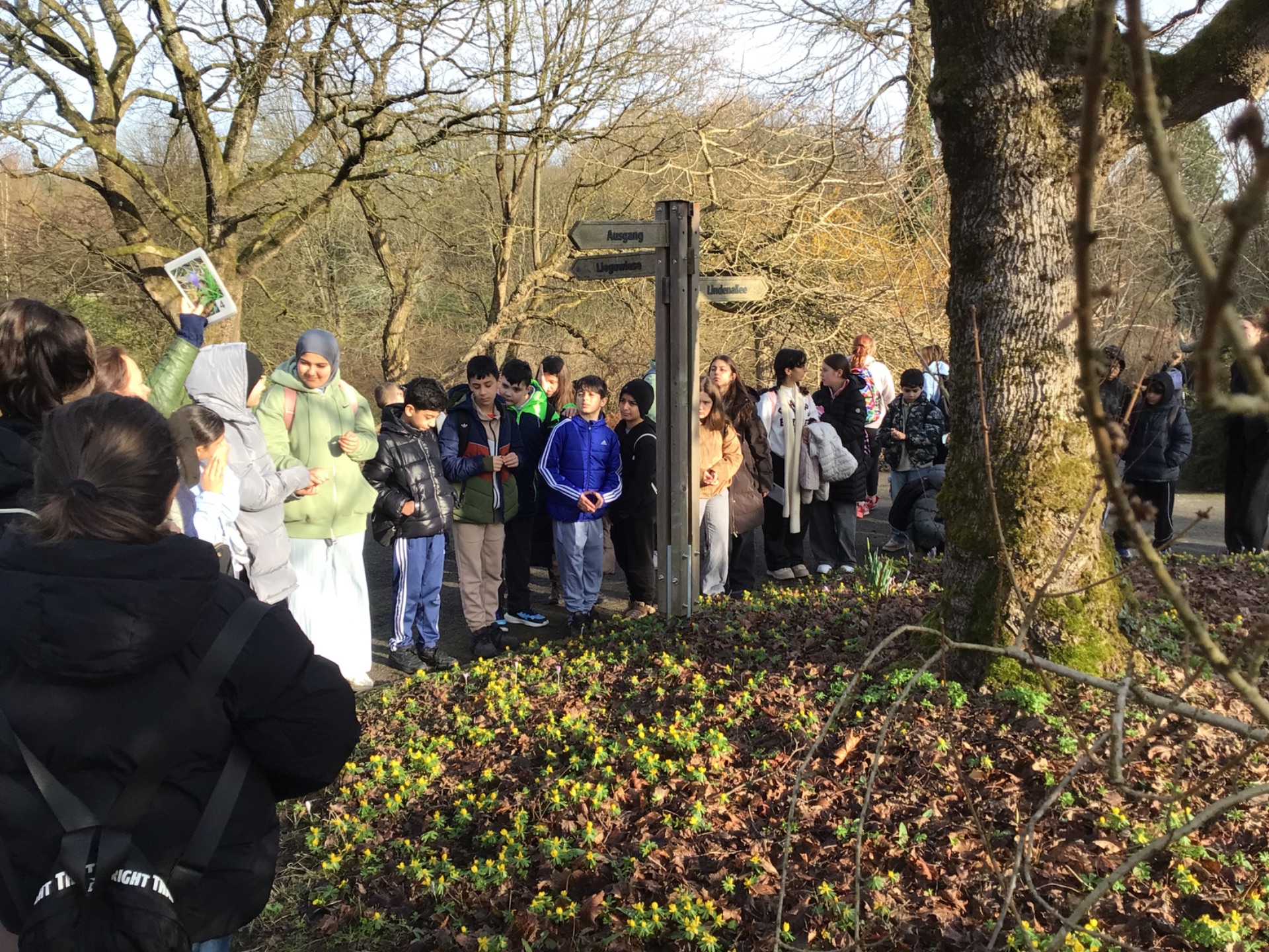 26 ghg gruene Schule 4