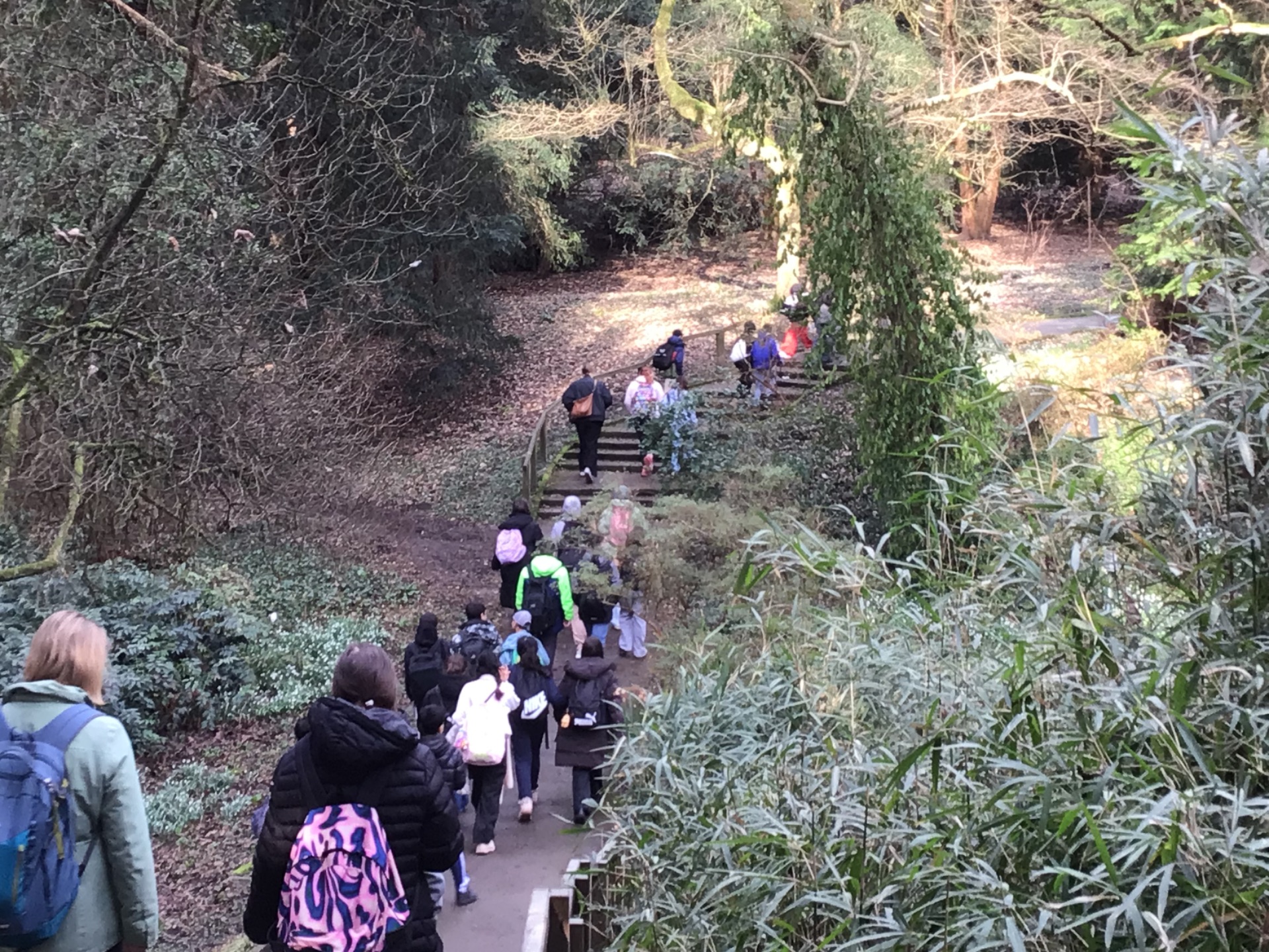 26 ghg gruene Schule 6